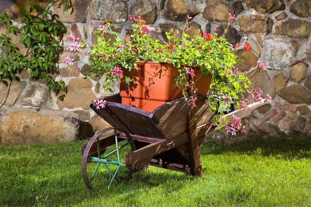 Villa Antico Borghetto Di Tigliano Vinci Exterior foto